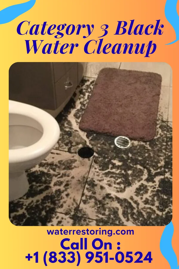 Category 3 Black Water Cleanup in Kingston, MO