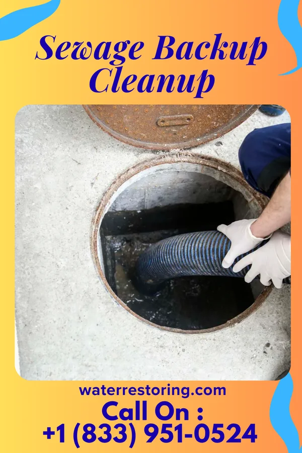 Sewage Backup Cleanup in Kingston, MO